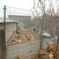 welded wire mesh YQ Galvanized Steel Chicken Cages Welded Wire Mesh Rolls for Cages Supplier